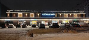 Khudozhnikov Avenue, 11 ، سان بطرسبرغ: صورة