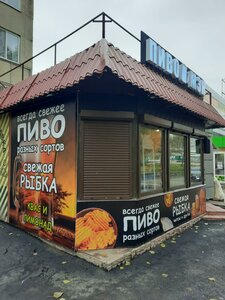 Ogorodnaya ulitsa, 158А, Saratov: photo