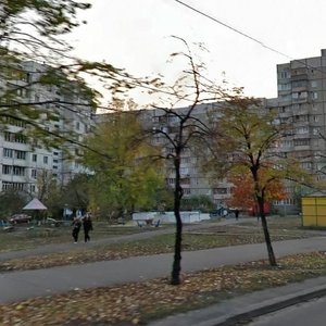 Arkhitektora Verbytskoho Street, 24, Kyiv: photo