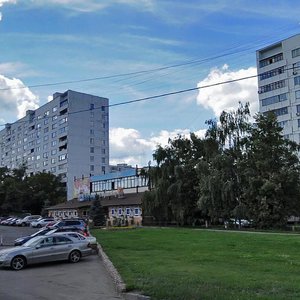 Москва, Ореховый бульвар, 55к1: фото