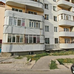Kókjıek shaǵyn aýdany, 1/51, Almaty: photo