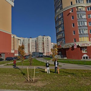Jana Chachota Street, 7, : foto