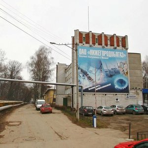 Нижний Новгород, Конный проезд, 10: фото