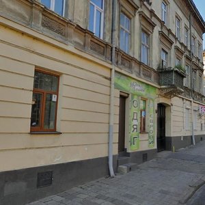 Horodotska vulytsia, 91, Lviv: photo