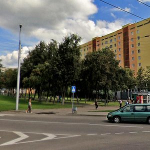 Гомель, Быховская улица, 115: фото