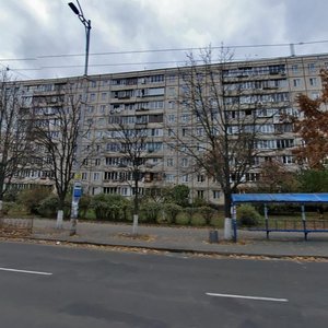 Yakuba Kolasa Street, 3/1, Kyiv: photo
