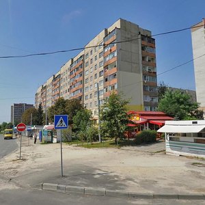 Naukova vulytsia, 112, Lviv: photo