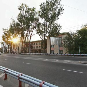 Kanysh Satbayev Street, 29Д, Almaty: photo