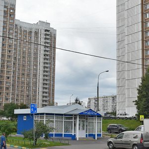 Novoperedelkinskaya Street, 13А, Moscow: photo