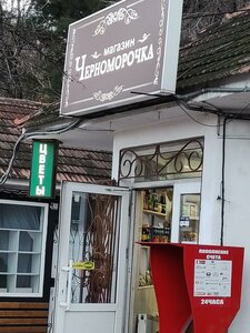 Yuzhnoberezhnoye Highway, 15Б ، جمهورية القرم: صورة