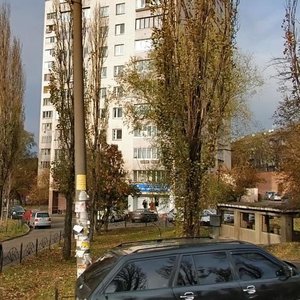 Chokolivskyi Boulevard, 40, Kyiv: photo
