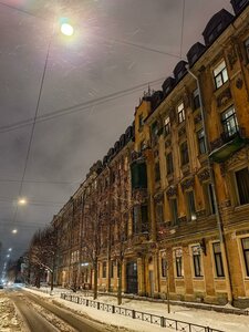 7th Krasnoarmeyskaya Street, 7, Saint Petersburg: photo