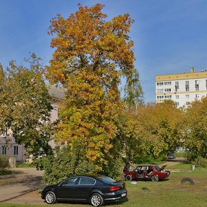 Geroya Sovetskogo Soyuza Sutyrina Street, 4, Nizhny Novgorod: photo