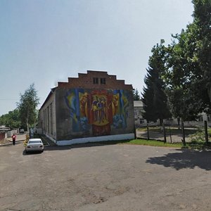 Ruska vulytsia, 228А, Chernivtsi: photo