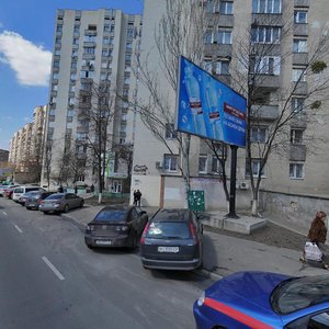 Olesia Honchara Street, 52, Kyiv: photo