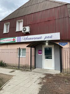 Ulitsa Pushkina, 41А, Mikhaylovsk: photo