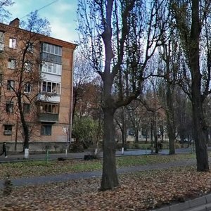 Vatslava Havela Boulevard, No:85, Kiev: Fotoğraflar