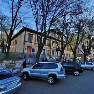 Volodymyrska Street, 3, : foto