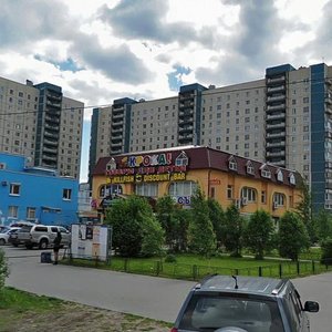 Komendantskiy Avenue, 26к1 ، سان بطرسبرغ: صورة