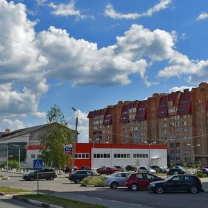 Shkolnaya Street, No:42, Elektrougli: Fotoğraflar