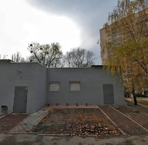 Adama Mitskevycha Street, 1 ، كييف: صورة