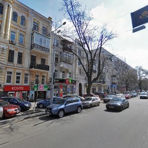 Velyka Vasylkivska Street, 81, Kyiv: photo