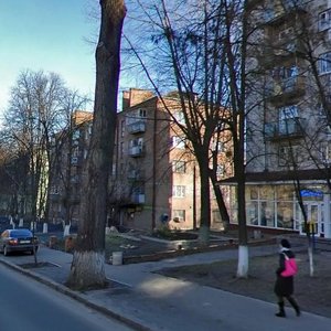 Derevlianska Street, 19Б, Kyiv: photo