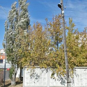 Korolenko Street, 107, Barnaul: photo