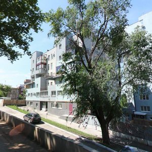 Alekseya Tolstogo Street, 74, Samara: photo