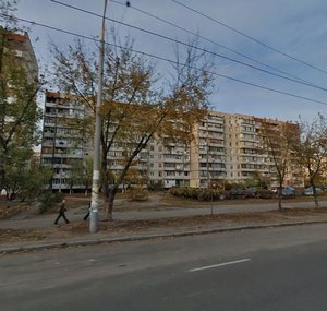 Heroiv Dnipra Street, 59, Kyiv: photo