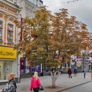 Prospekt imeni Petra Stolypina, No:11, Saratov: Fotoğraflar