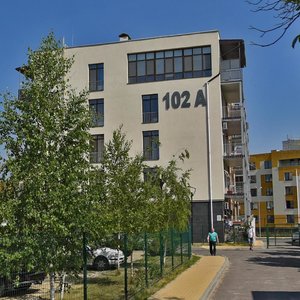 Zamkovetska Street, 102А, Kyiv: photo