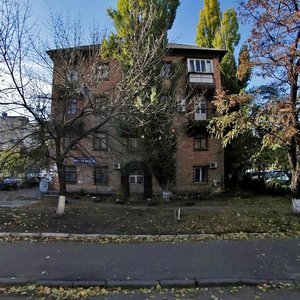 Mezhihirska Street, 49/21, Kyiv: photo