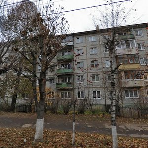 Demidovskaya Street, 117, Tula: photo