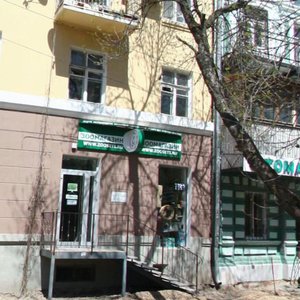 Pushkinskaya Street, 41, : foto