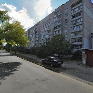 Shoseina vulytsia, 105, Mykolaiv: photo