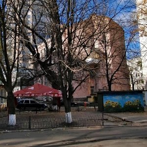 Nestorivskyi Lane, 10, Kyiv: photo