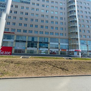 Moskovskaya Street, 195 ، يكاترينبورغ: صورة