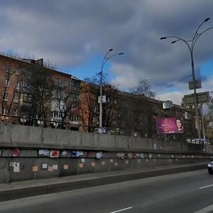 Oleny Telihy Street, 23 ، كييف: صورة