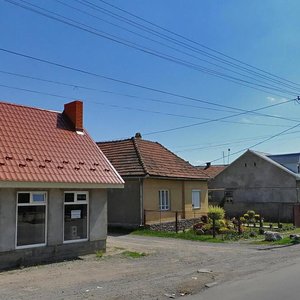 Pidhorianska vulytsia, 136А, Mukactevo: photo