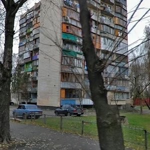 Zoolohichna Street, 2, Kyiv: photo
