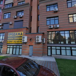 Lesi Ukrainky Boulevard, 23А, Kyiv: photo