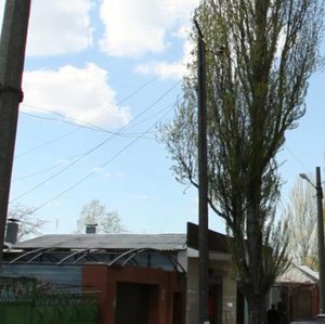2nd Proletarskaya Street, 69 ، روستوف نا دونو: صورة