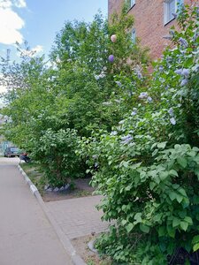 Neftzavodskaya Street, 17А, : foto