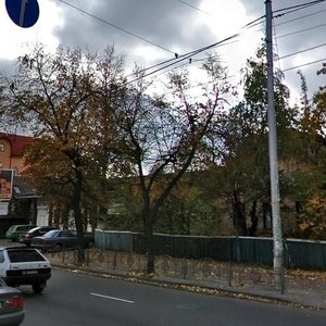 Valeriia Lobanovskoho Avenue, 48, Kyiv: photo