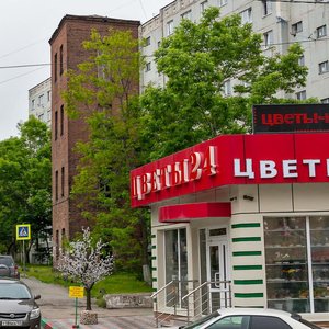 Sipyagina Street, 22, Vladivostok: photo