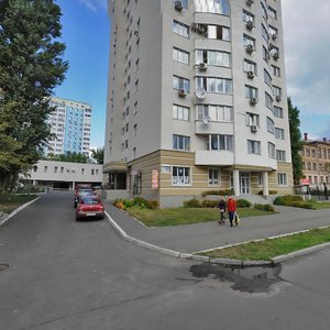 Yuriia Lytvynskoho Street, 45Б, Kyiv: photo