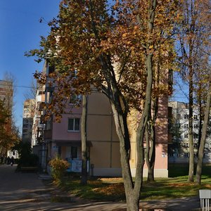Praspiekt Frunze, 62, Vitebsk: photo