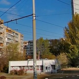 Heroiv Dnipra Street, 21, Kyiv: photo