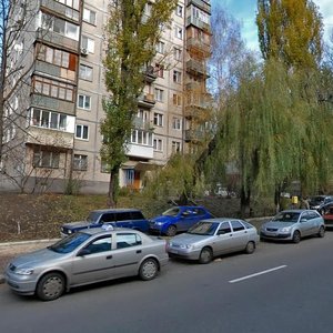 Mechnykova Street, 7А, Kyiv: photo